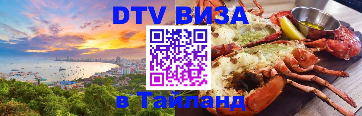 Оформление DTV визы под ключ: стоимость и тарифы, только загранпаспорт - Чебоксары 